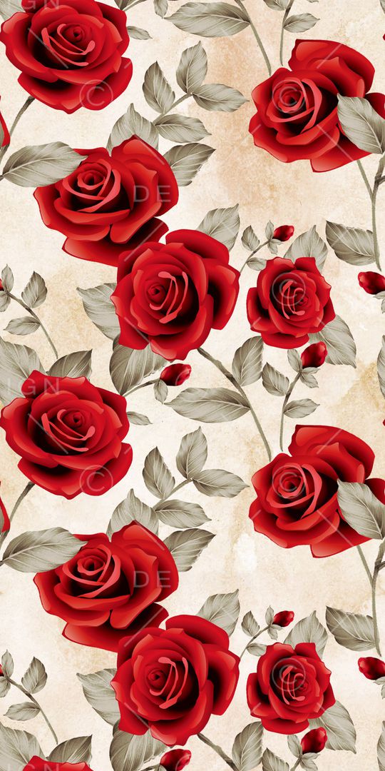 女装印花华亿平台图片