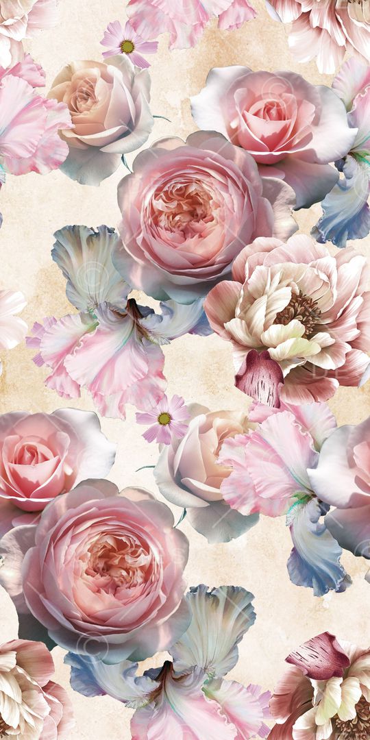 女装印花华亿平台图片