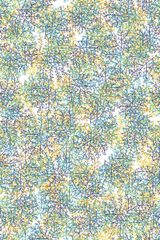 肌理印花华亿平台图片