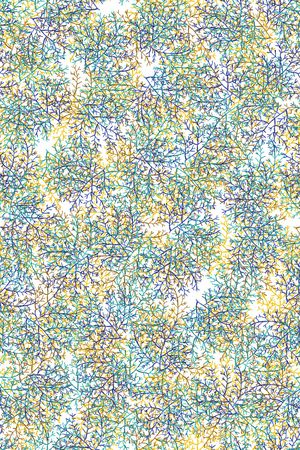 肌理印花华亿平台图片