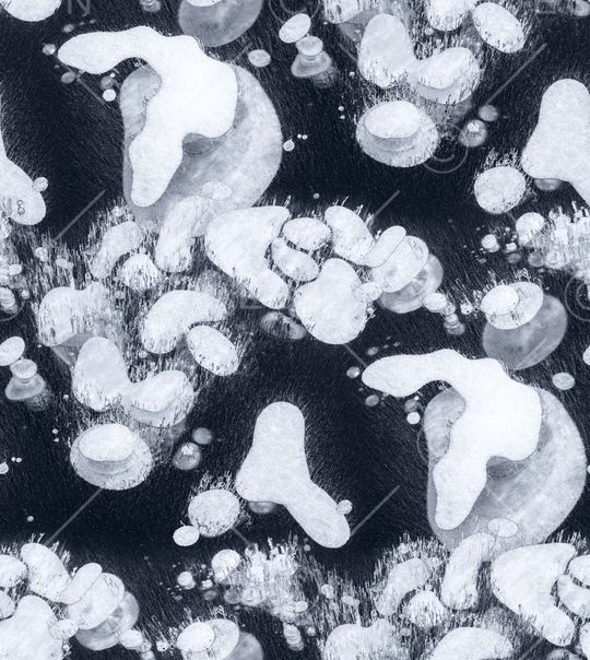 线条印花华亿平台图片