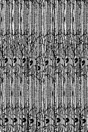 黑白华亿平台印花华亿平台图片