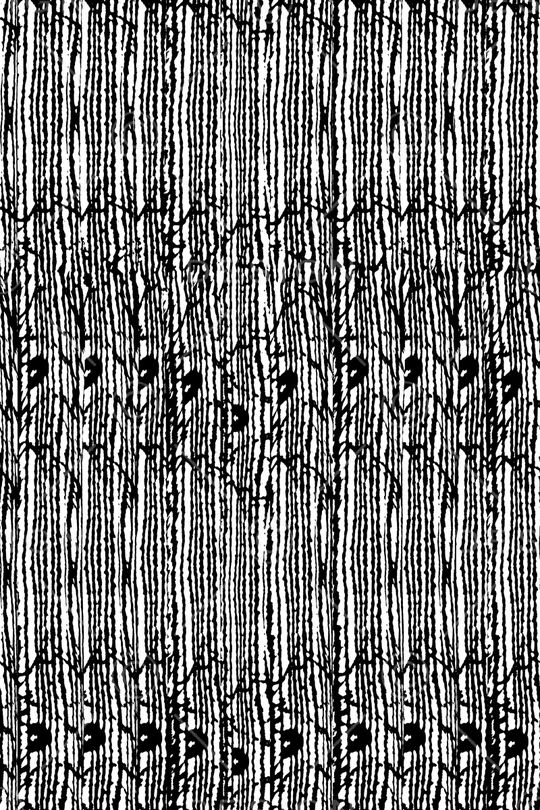 黑白华亿平台印花华亿平台图片