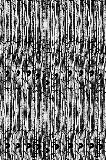 黑白华亿平台印花华亿平台图片