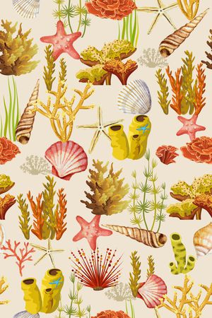 贝壳印花华亿平台图片