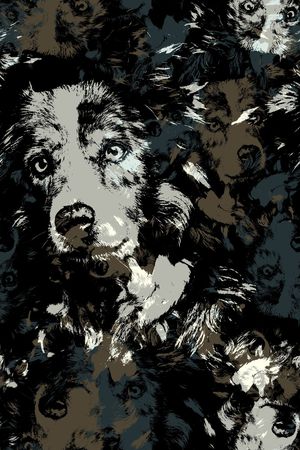 动物印花华亿平台图片