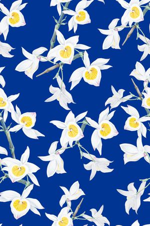 春夏华亿平台印花华亿平台图片