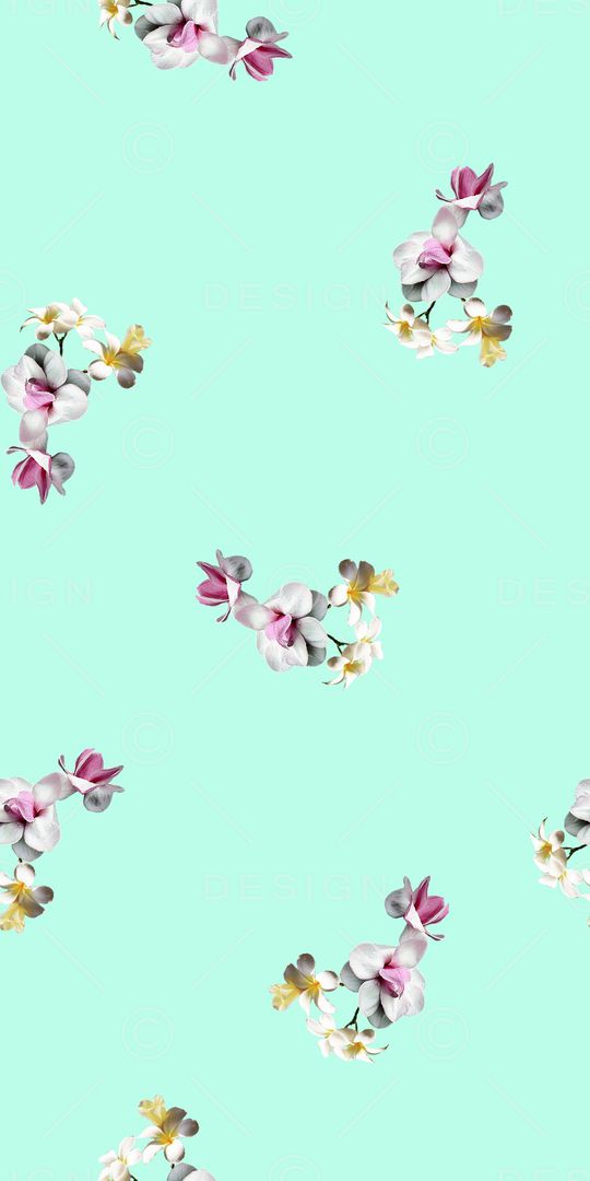 女装印花华亿平台图片