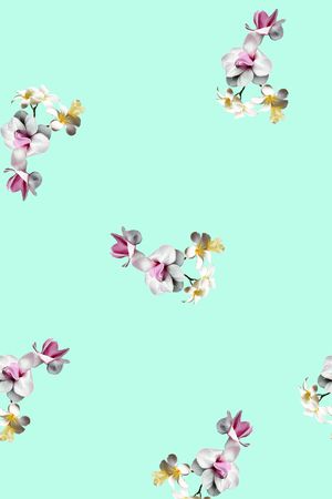 女装印花华亿平台图片