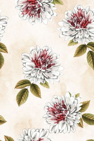 女装印花华亿平台图片