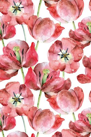 女装印花华亿平台图片