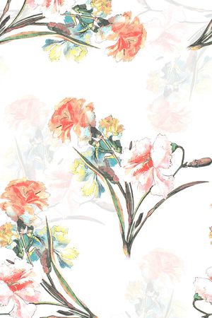 女装印花华亿平台图片