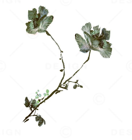 水彩印花华亿平台图片