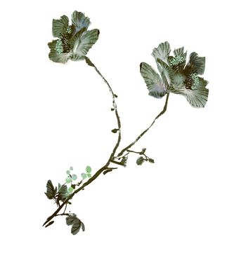 1419980-水墨绿色