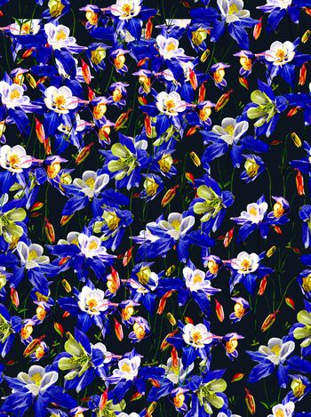 水彩印花华亿平台图片