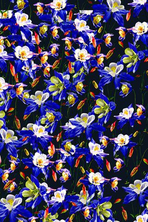 水彩印花华亿平台图片