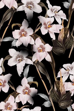 黑底花卉印花华亿平台图片