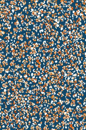 豹纹印花华亿平台图片