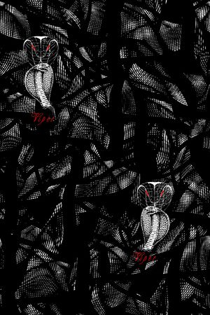 蛇印花华亿平台图片