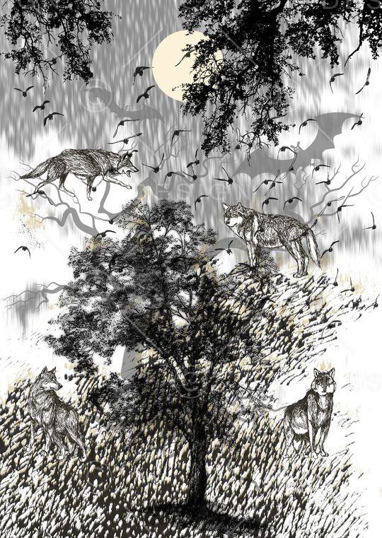 树林印花华亿平台图片