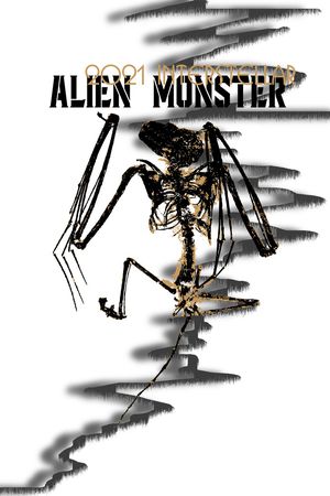 字母印花华亿平台图片