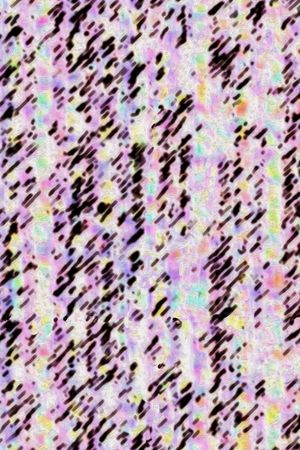 时尚印花华亿平台图片