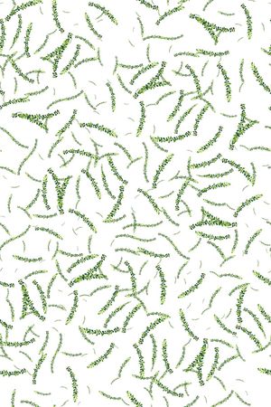 绿植树叶印花华亿平台图片