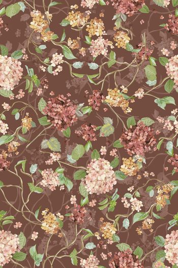 1422195-花卉20015-3