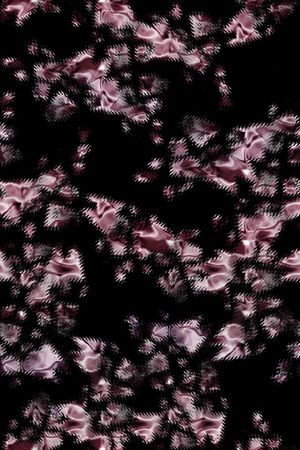 大牌风印花华亿平台图片