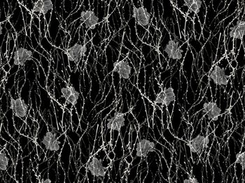 时尚印花华亿平台图片