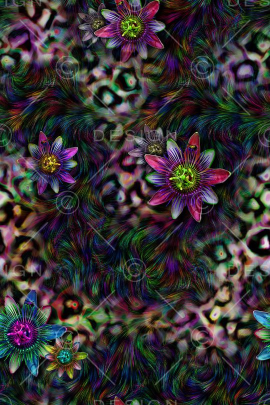 豹纹印花华亿平台图片