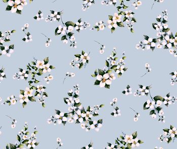 1422712-风车茉莉