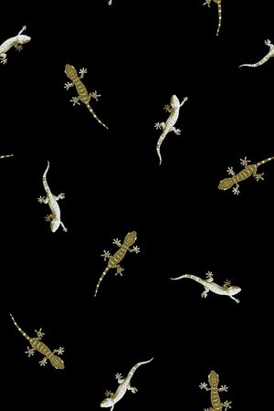 动物印花华亿平台图片