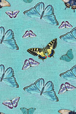 蝴蝶印花华亿平台图片