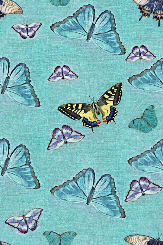 蝴蝶印花华亿平台图片