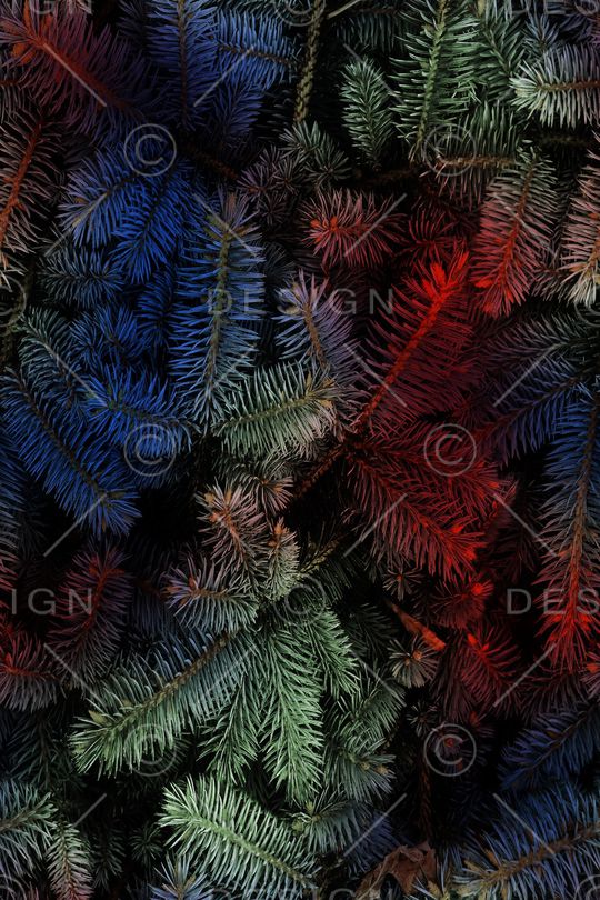 松针印花华亿平台图片