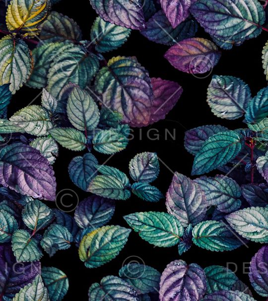 炫彩印花华亿平台图片