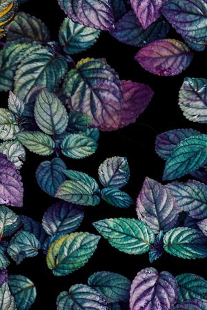 炫彩印花华亿平台图片