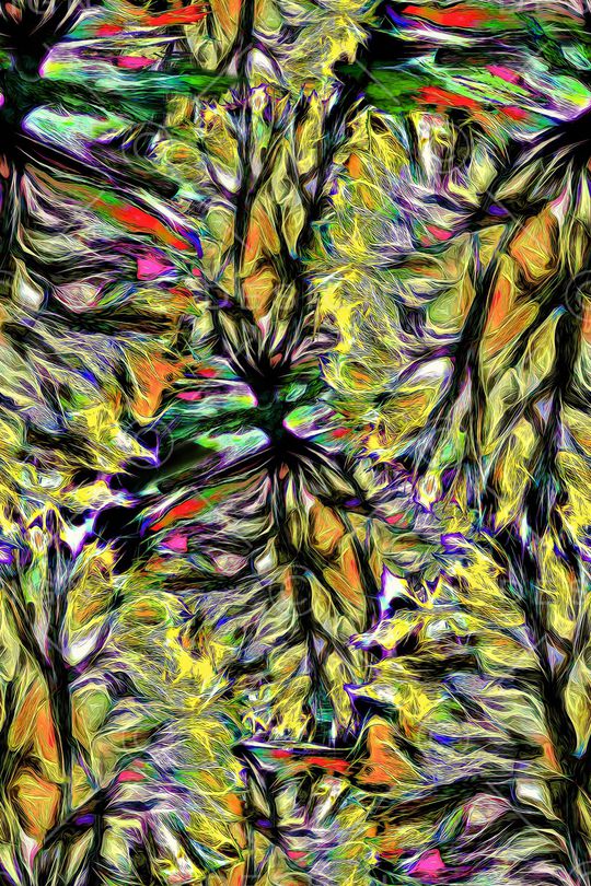 复古印花华亿平台图片