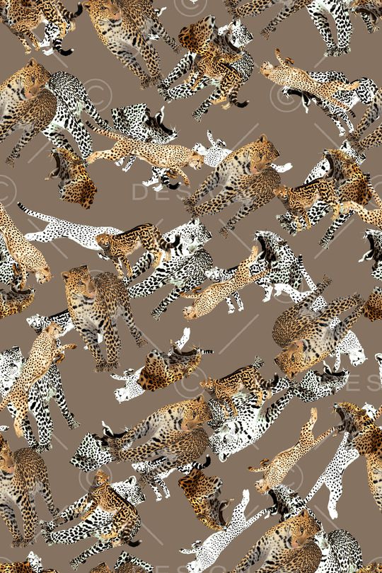 动物印花华亿平台图片