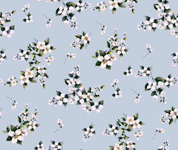 1423698-风车茉莉