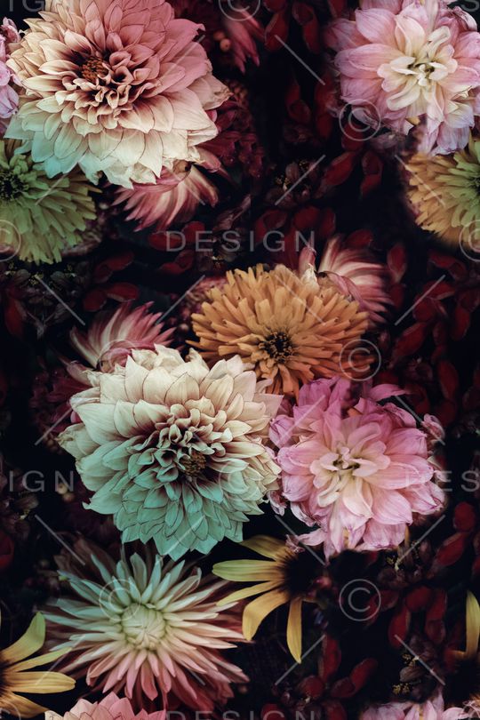 朦胧花卉印花华亿平台图片