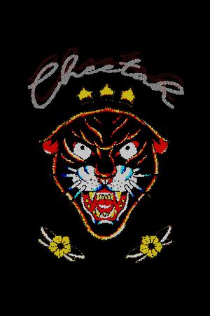 字母印花华亿平台图片