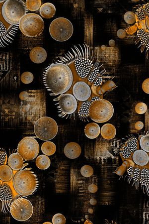 几何印花华亿平台图片