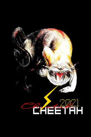 字母印花华亿平台图片