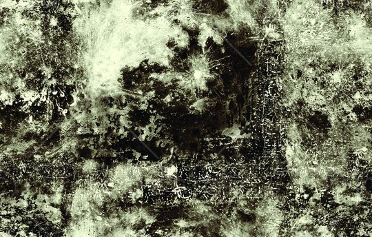 女装定位花印花华亿平台图片