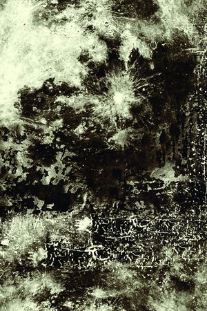 女装定位花印花华亿平台图片