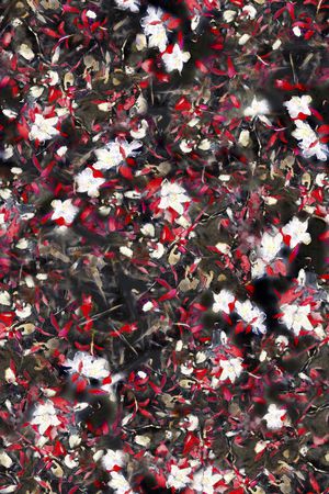 连衣裙印花华亿平台图片