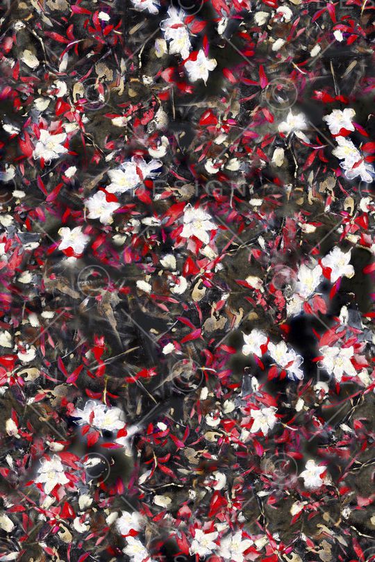 连衣裙印花华亿平台图片