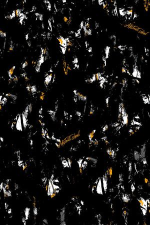 字母印花华亿平台图片